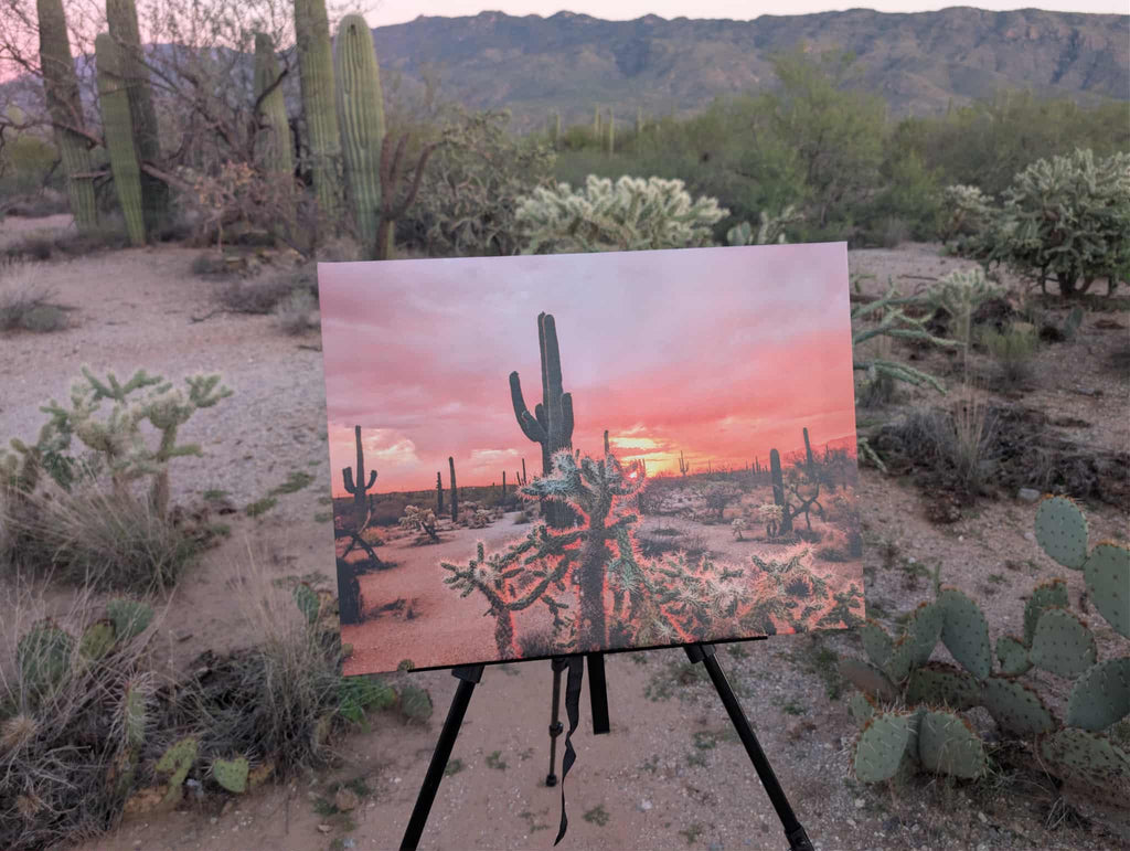 Arizona Dreams Canvas