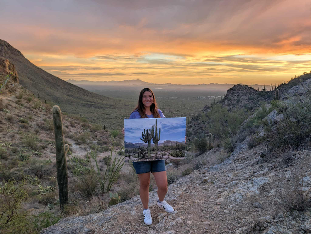 Sabino Canyon Crested