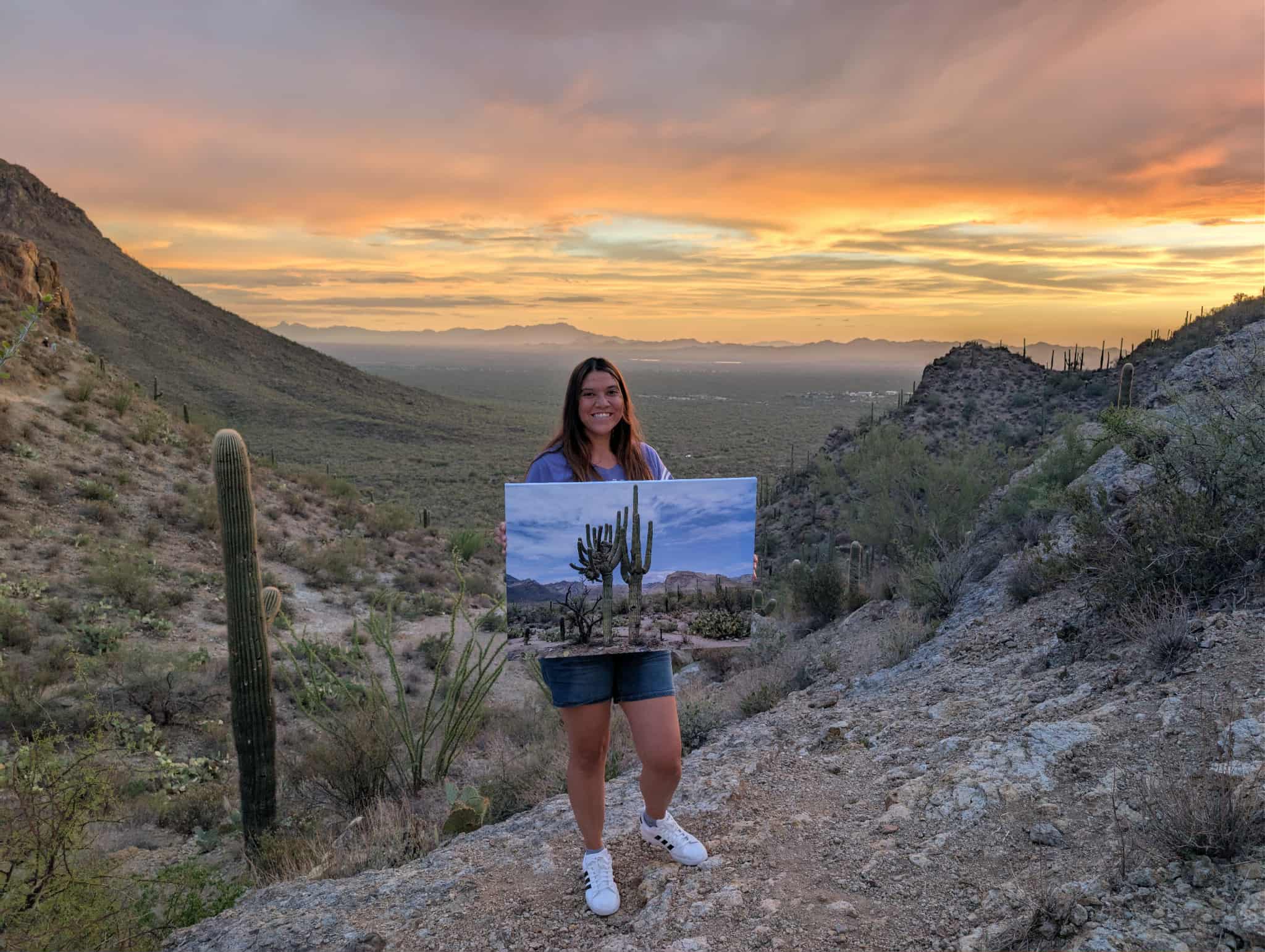 Sabino Canyon Crested