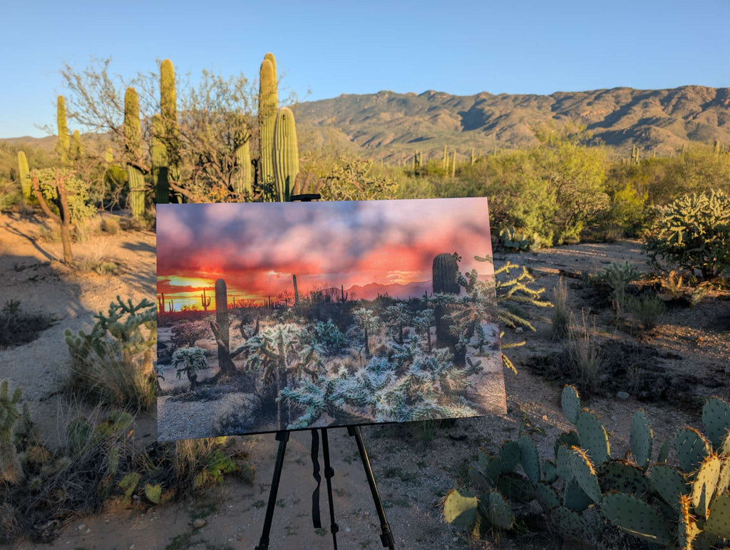 Arizona Fire sky Canvas