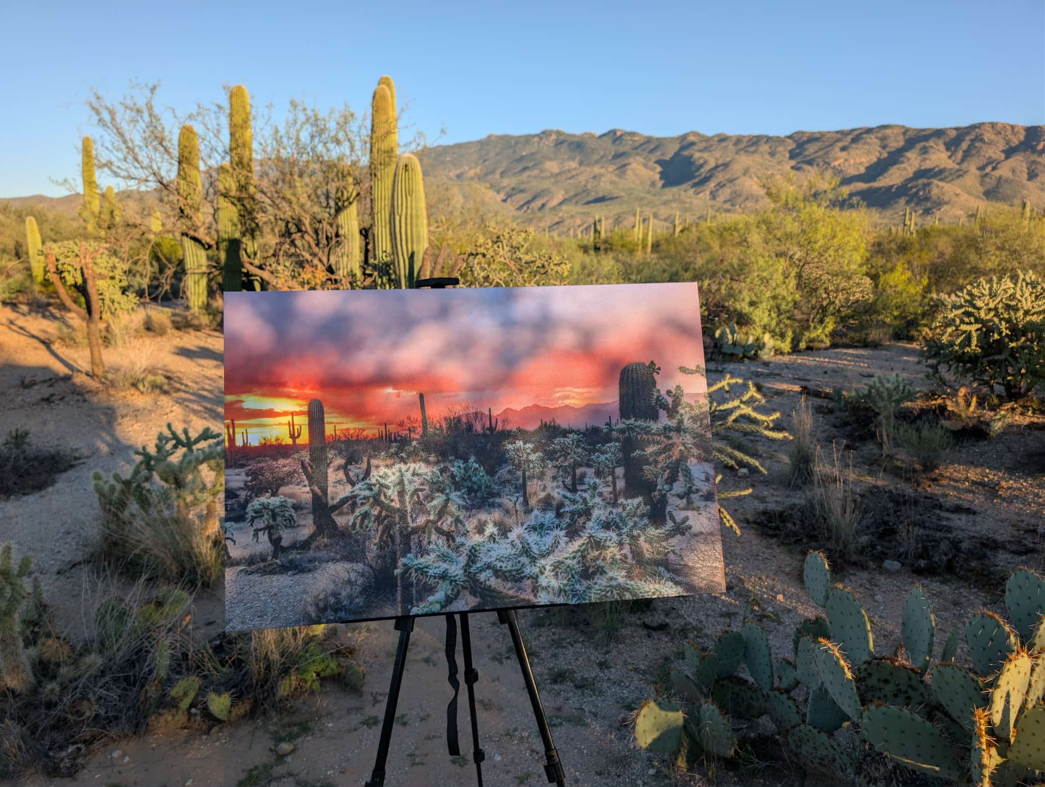 Arizona Fire sky Canvas