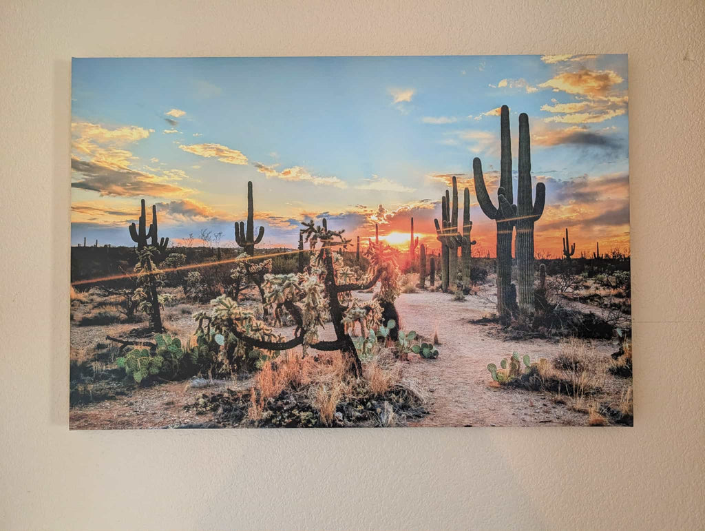 Sonoran Desert Canvas