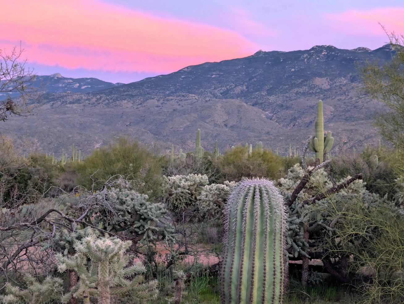 Pink Sunset Arizona Mountain Canvas Print - Arizona Home Decor