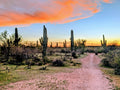 Desert Trail Sunset Canvas Print - Arizona Landscape Art