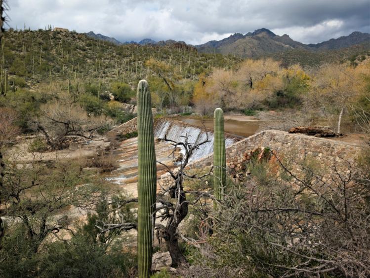 Arizona Beautiful 11