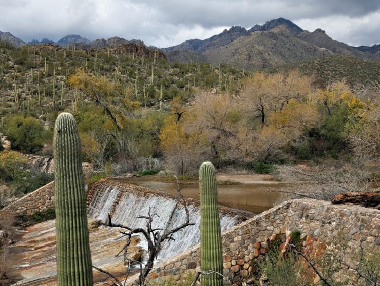 Arizona Beautiful 12