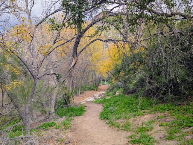 Arizona Beautiful 13