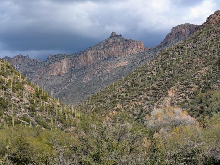 Arizona Beautiful 17