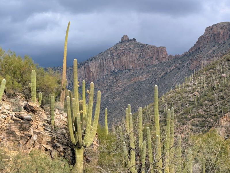 Arizona Beautiful 20