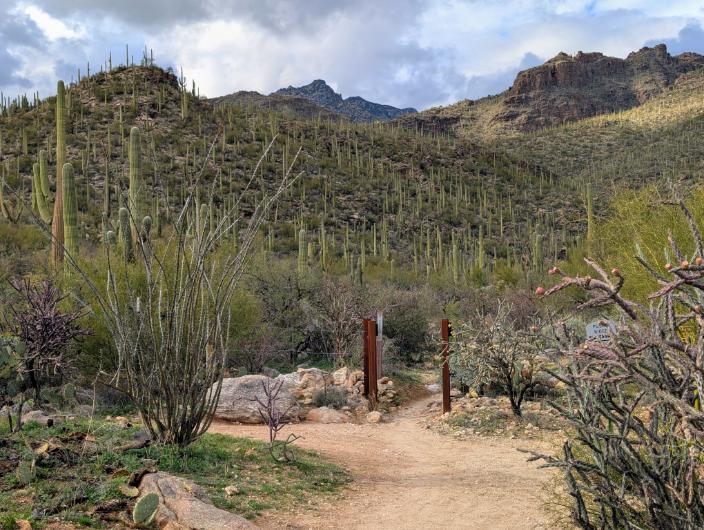 Arizona Beautiful 26