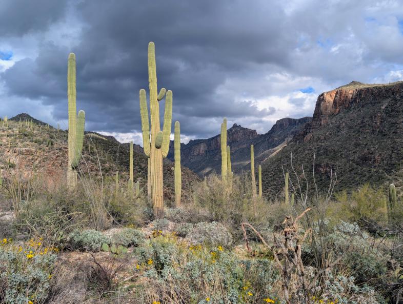 Arizona Beautiful 30