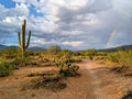 Arizona monsoon rainbow