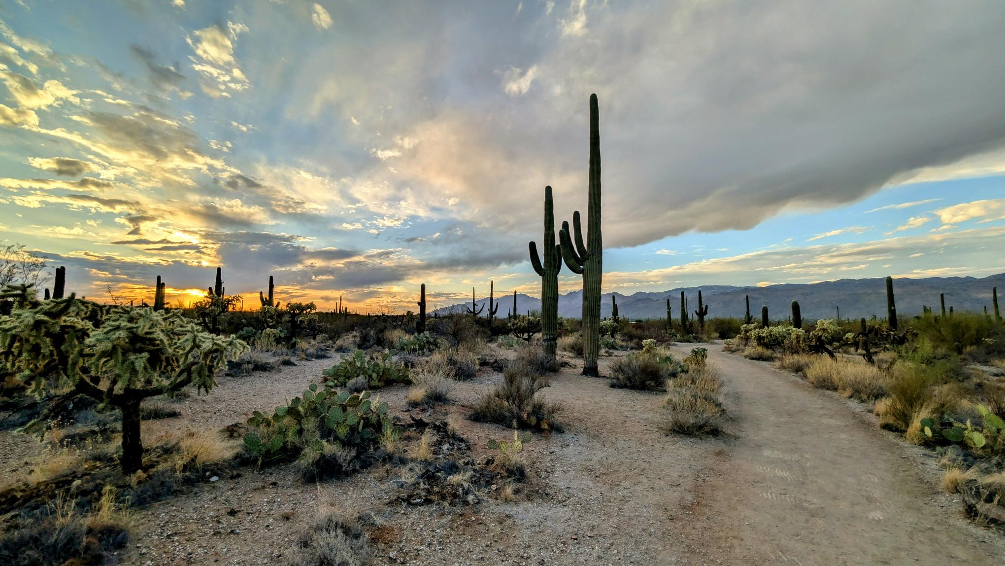Arizona dramatic sky