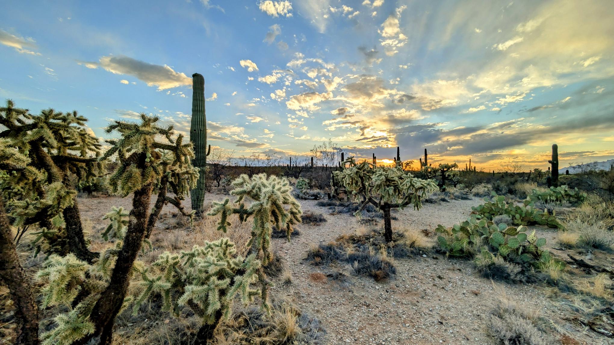 Arizona dramatic clouds