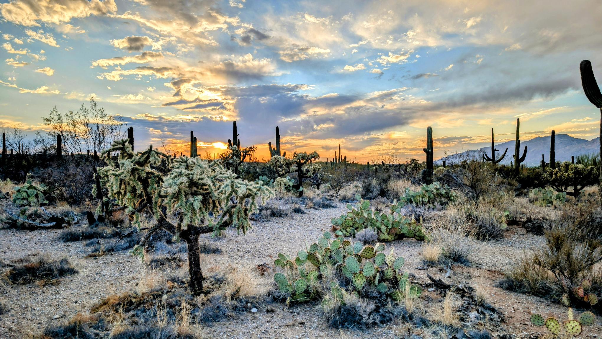 Arizona dramatic sky dreams