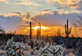 Arizona Sunset Ray Canvas Print