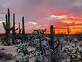 Arizona Dreaming Sunset Canvas print