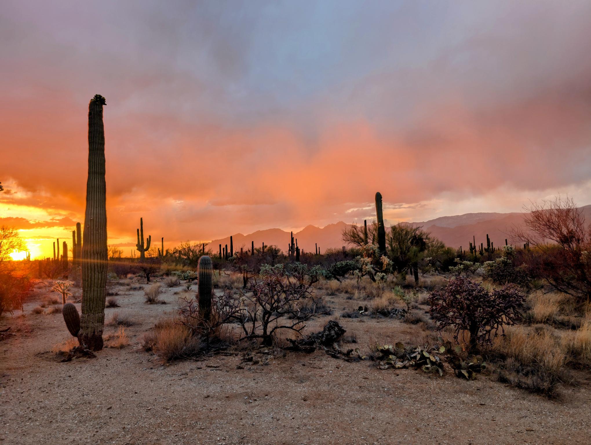 Arizona Sunset Colors 1 Canvas