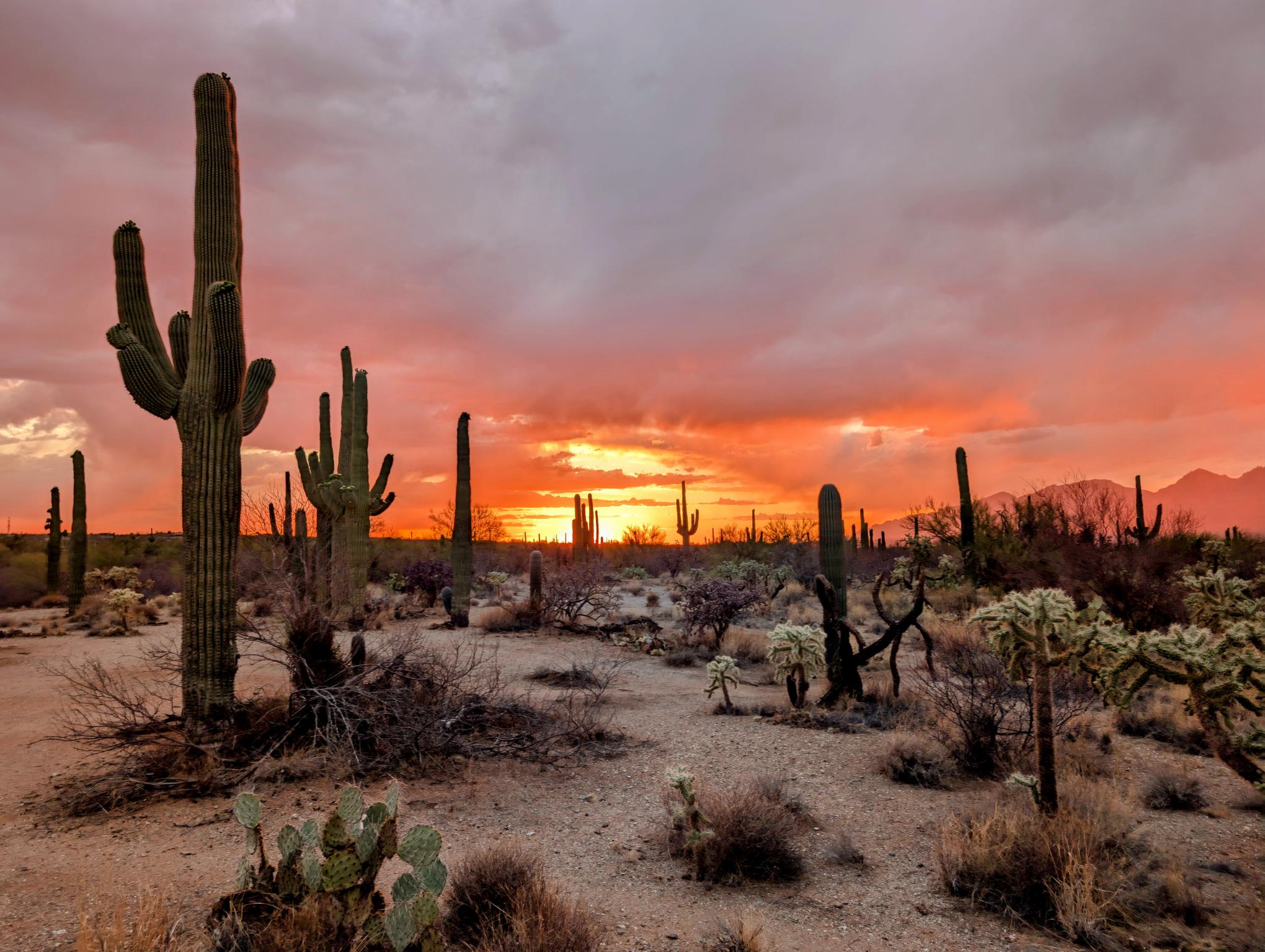 I Love Arizona