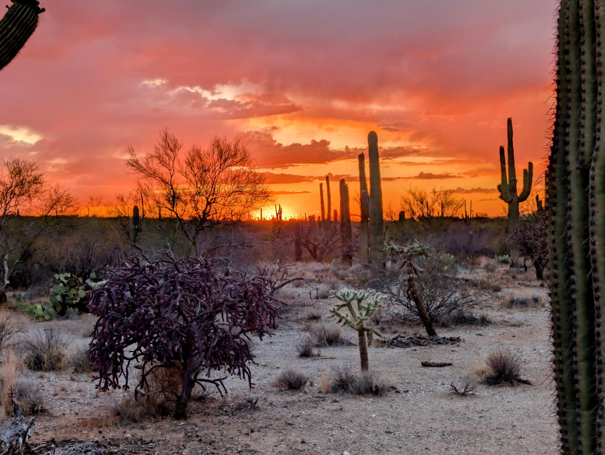I Love Arizona