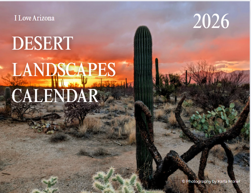 2026 Arizona Desert Bundle - Digital Printable Collection
