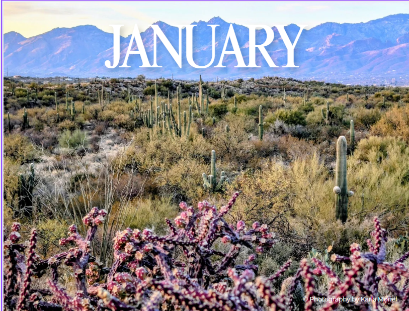 2026 Arizona Desert Bundle - Digital Printable Collection