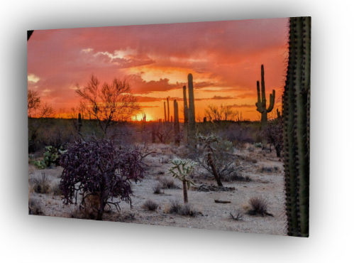 Saguaro National Park Orange and Red Sunset Canvas Print