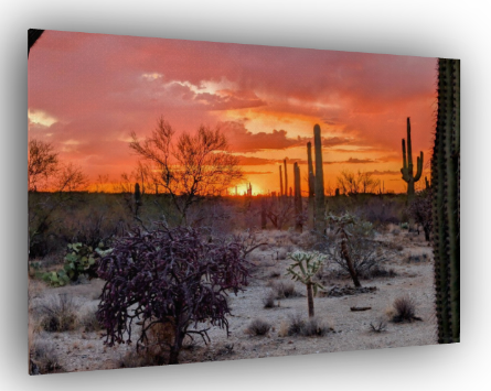 Saguaro National Park Orange and Red Sunset Canvas Print