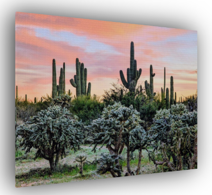 Pastel Sunset Arizona Desert Canvas Print - Saguaro Landscape Art