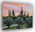 Pastel Sunset Arizona Desert Canvas Print - Saguaro Landscape Art