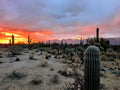 Arizona Sunset Dreaming Canvas Print