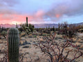 Arizona Pink Sunset Dreams Canvas Print