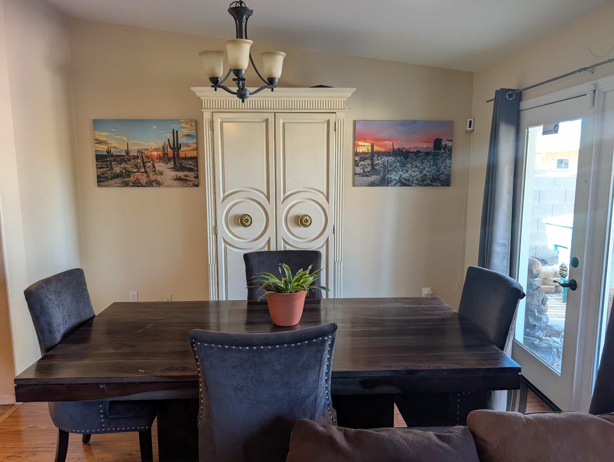 Sonoran Desert Canvas