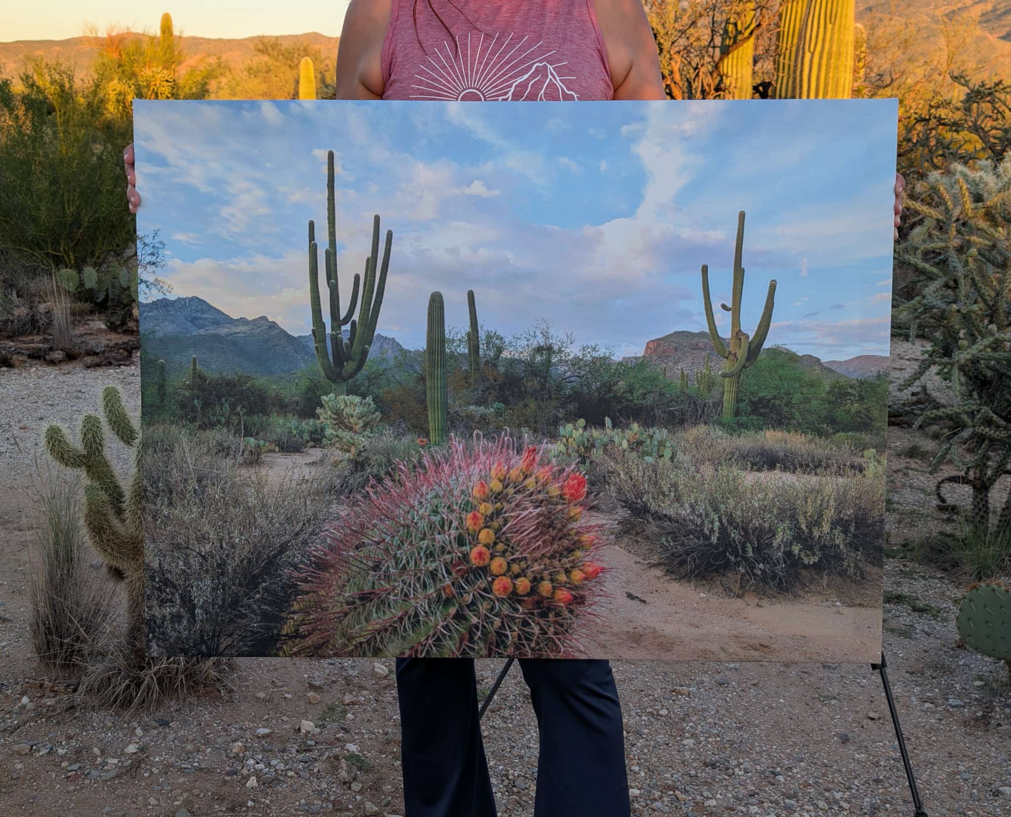 Sabino Canyon Canvas