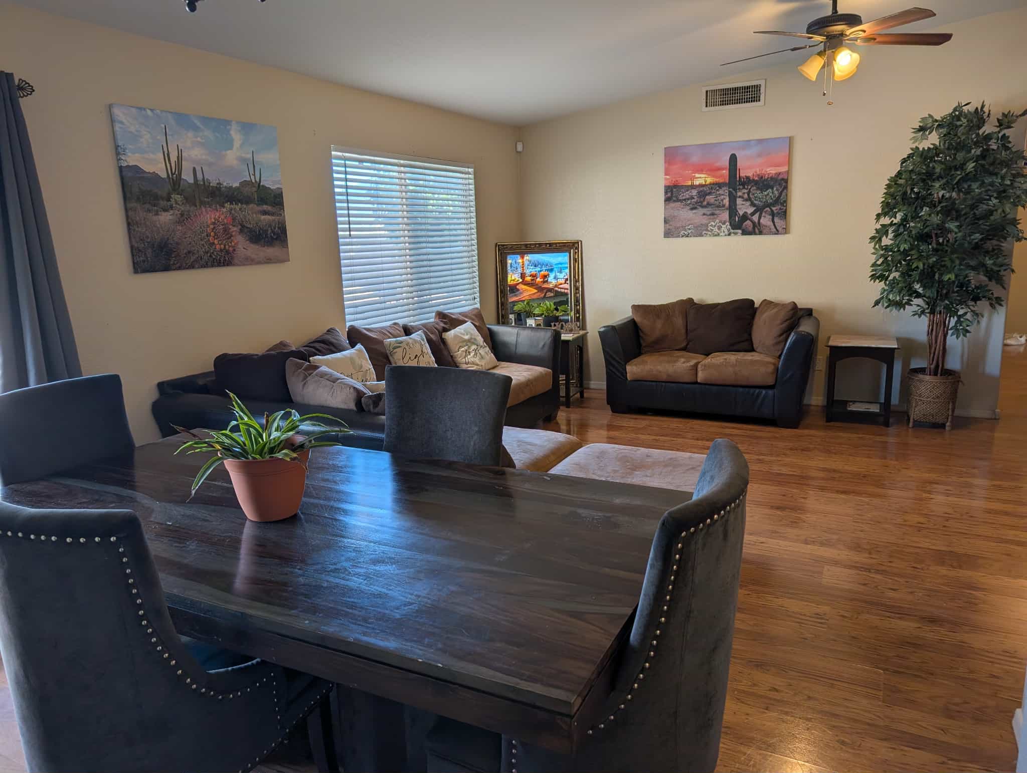 Sabino Canyon Canvas