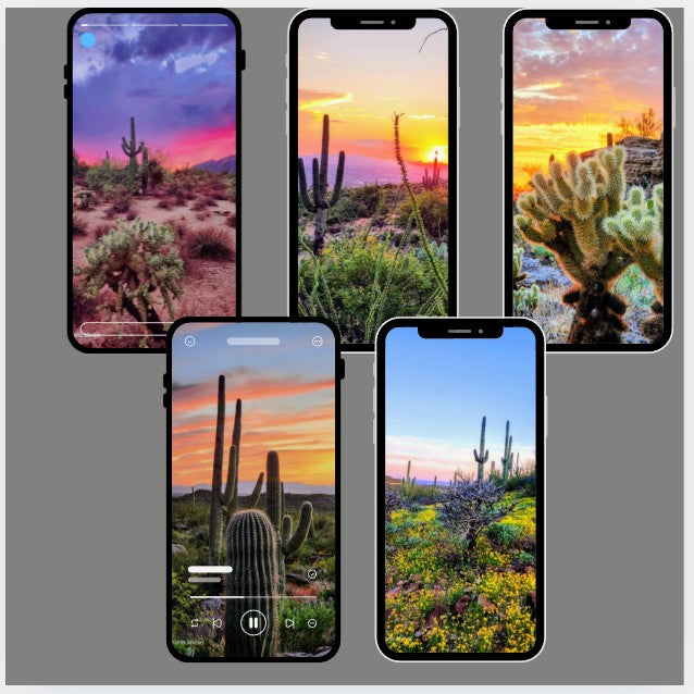 2026 Arizona Desert Bundle - Digital Printable Collection