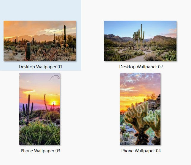 2026 Arizona Desert Bundle - Digital Printable Collection